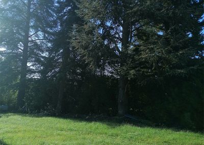 exterieur-racines-de-lili